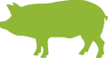 cerdo